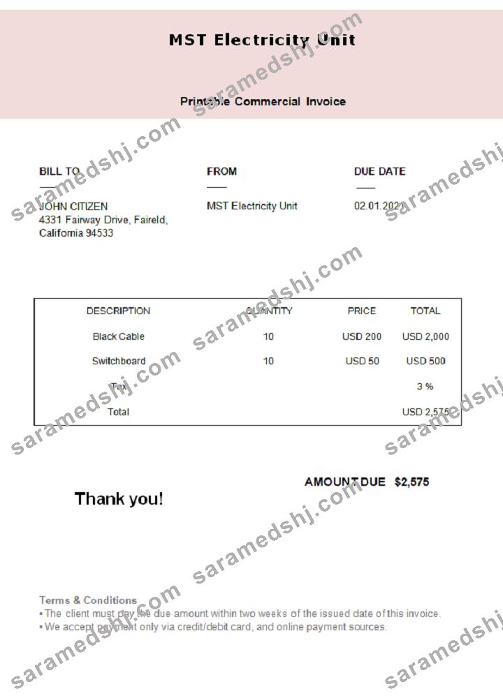 USA MST Electricity Unit invoice